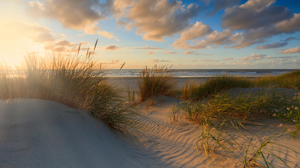 hollandse-duinen