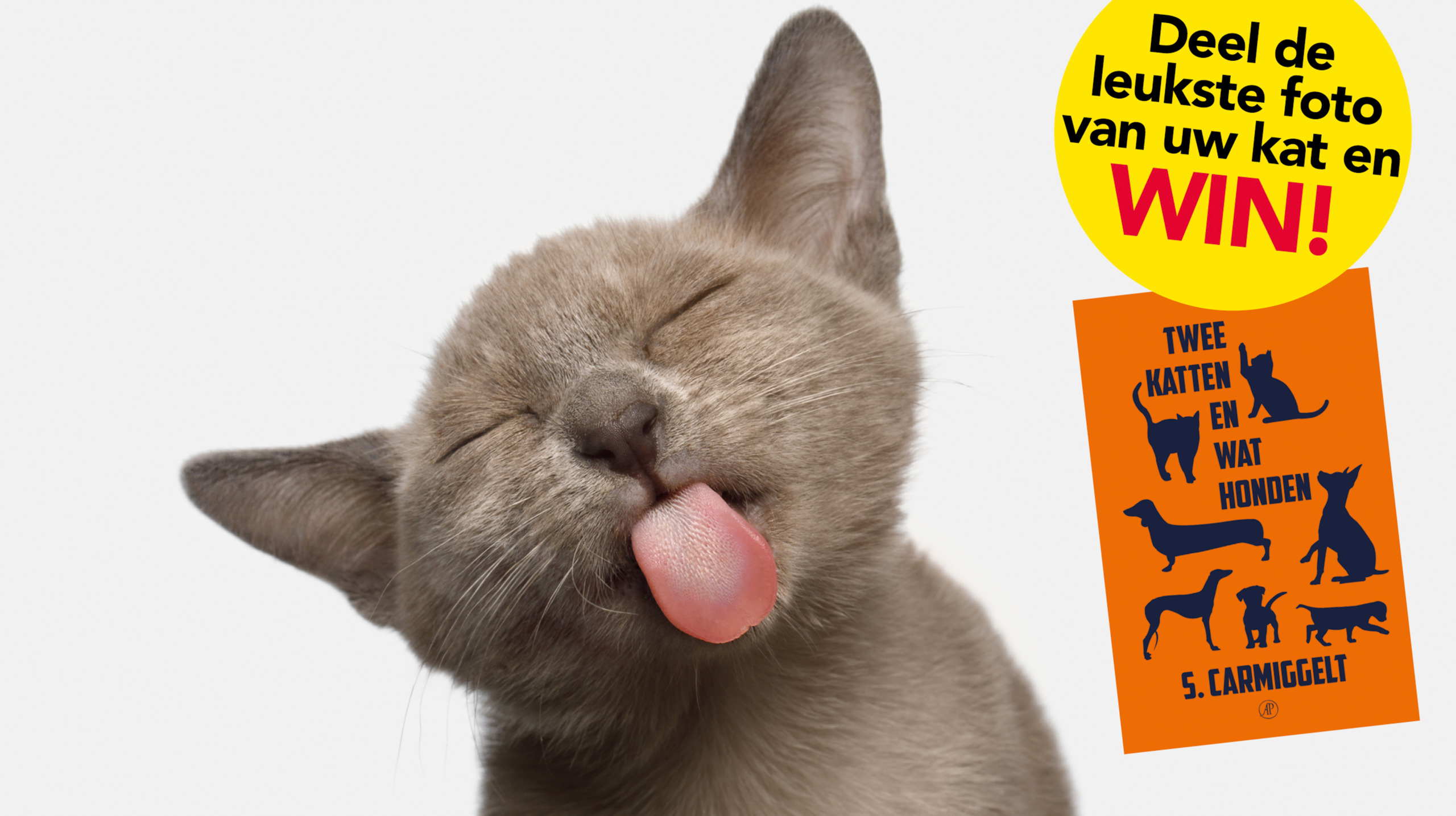 katten