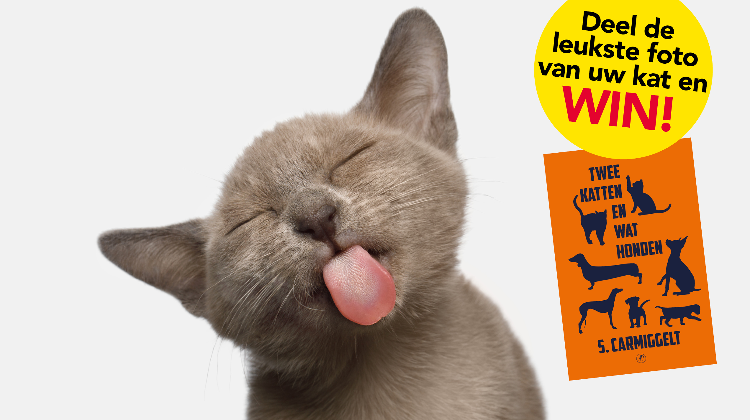 katten_prijsvraag