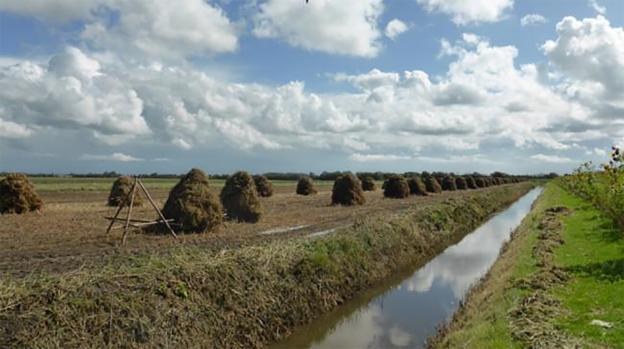 zoutelande_hoofdbeeld