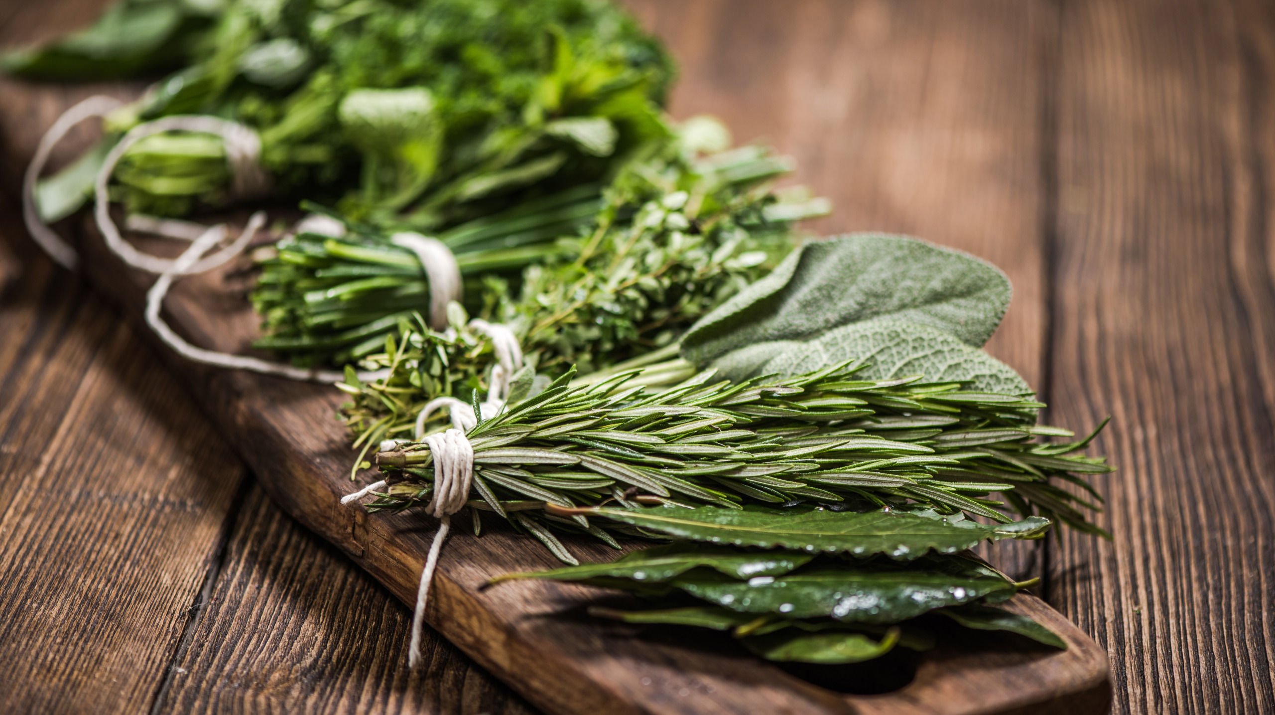 natural aromatic herbs