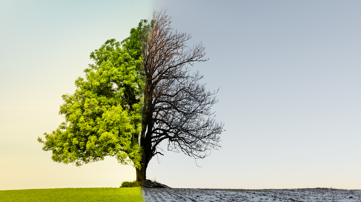 istock-887312138
