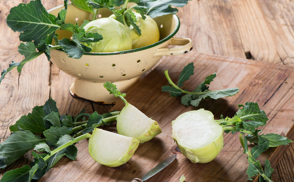 istock_000058596074_large