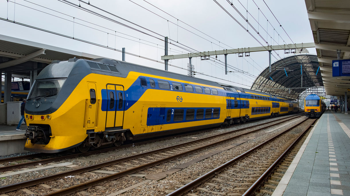 ns-flex