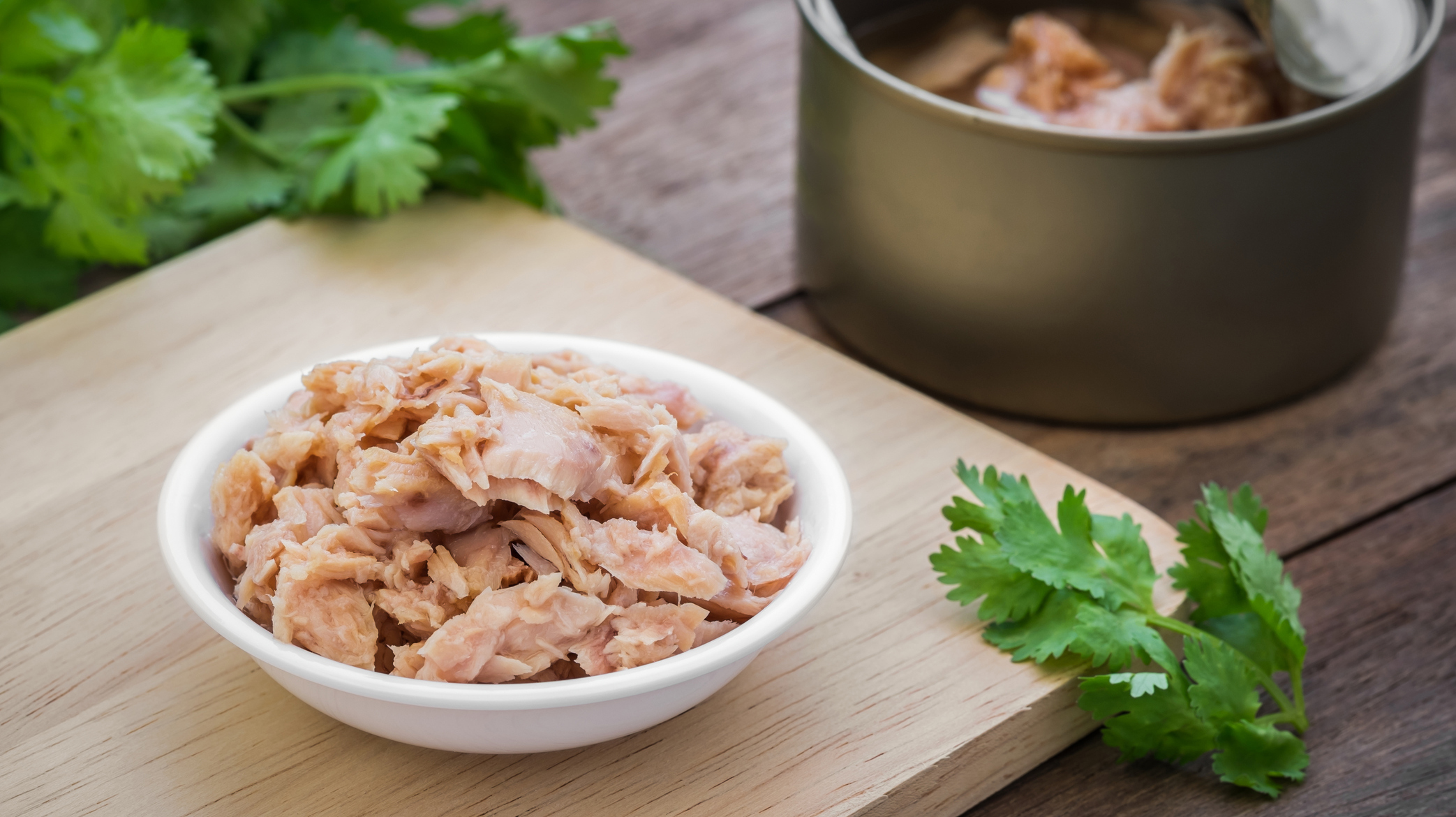 Canned tuna fish in bowl