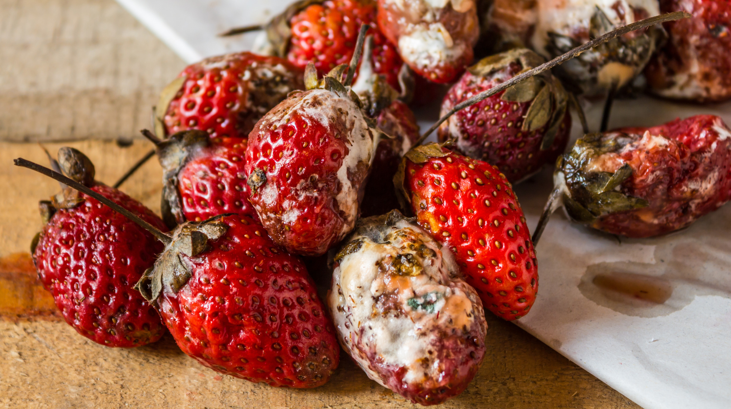 Rotten strawberries