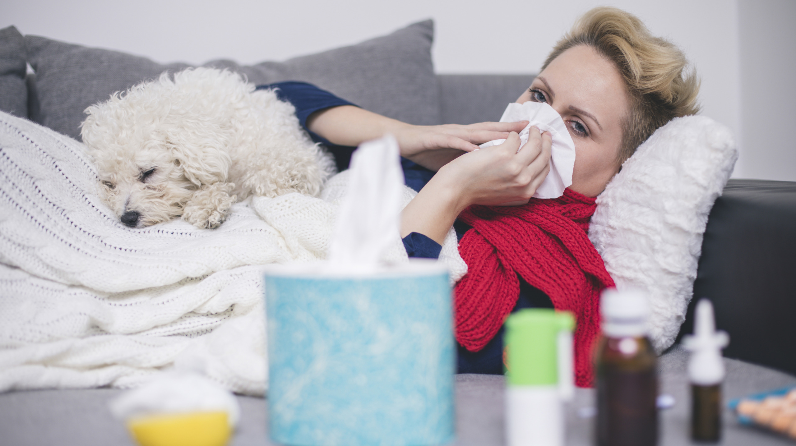 Sick young woman at home on the sofa with a cold, she is covering with a blanket and blowing her nose
