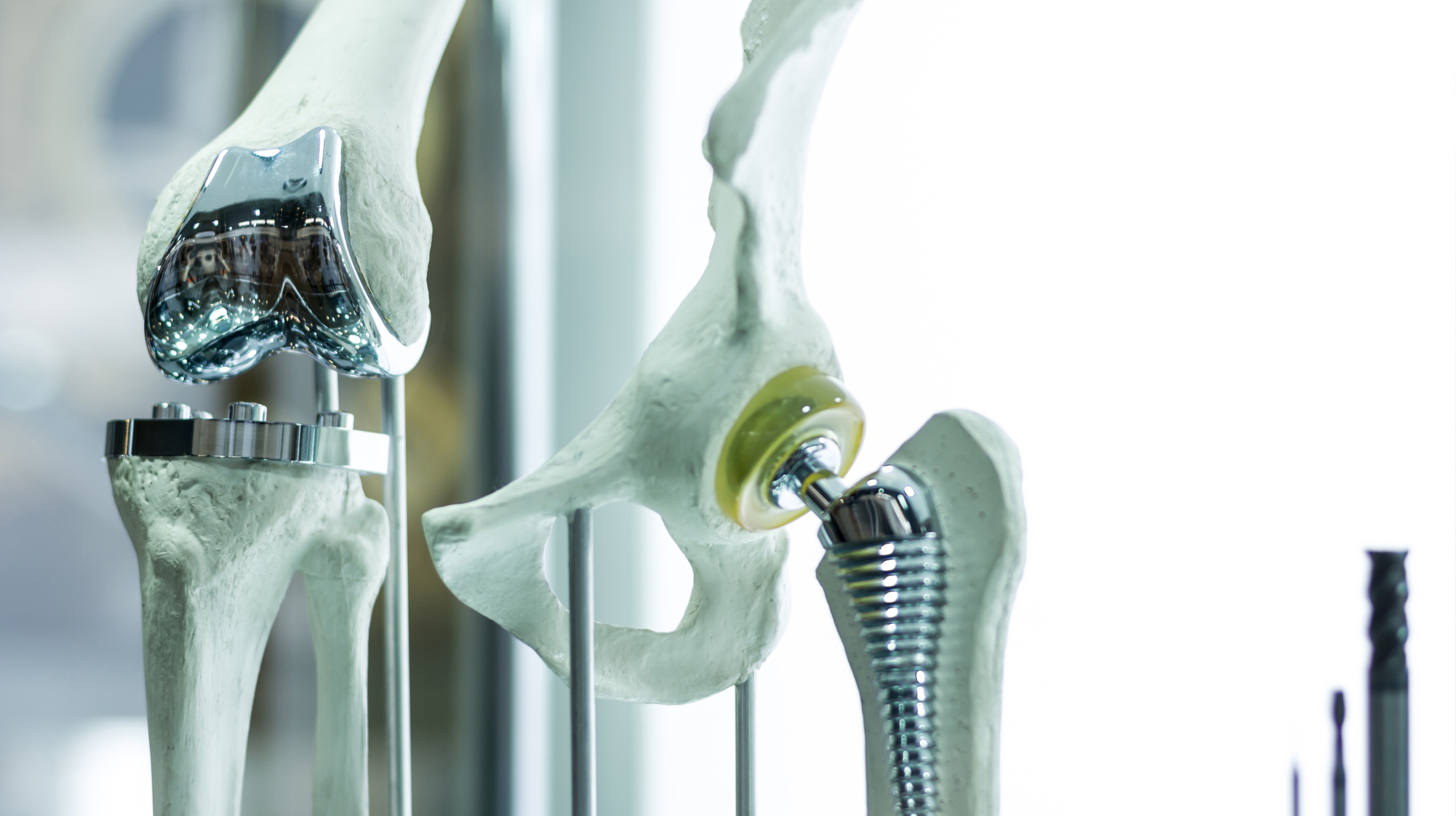 Knee and hip prosthesis