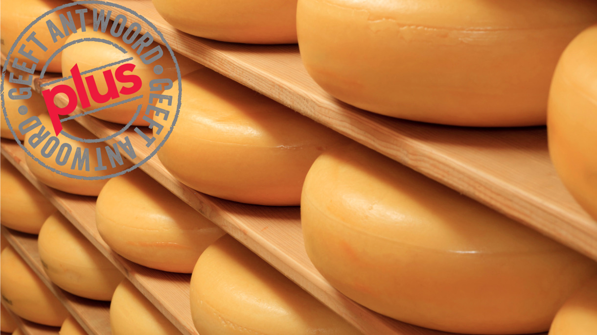 cheeses.jpg