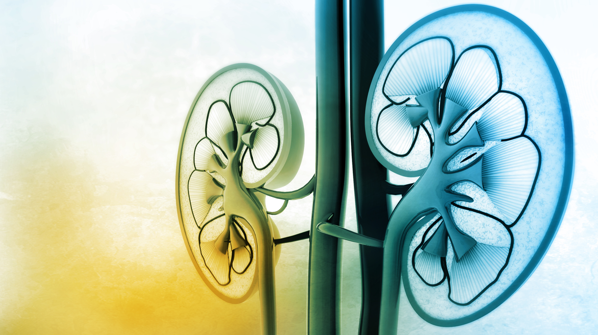 istock_90104373_large
