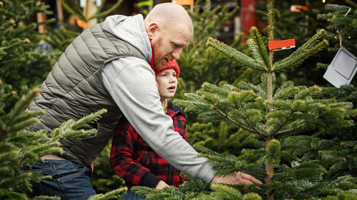 kerstboom-hoofdbeeld