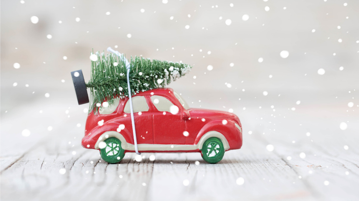miniature-red-car-with-fir-tree-picture-id618858196