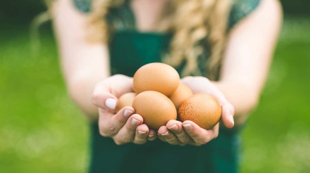 istock-510952017-1024×574-1