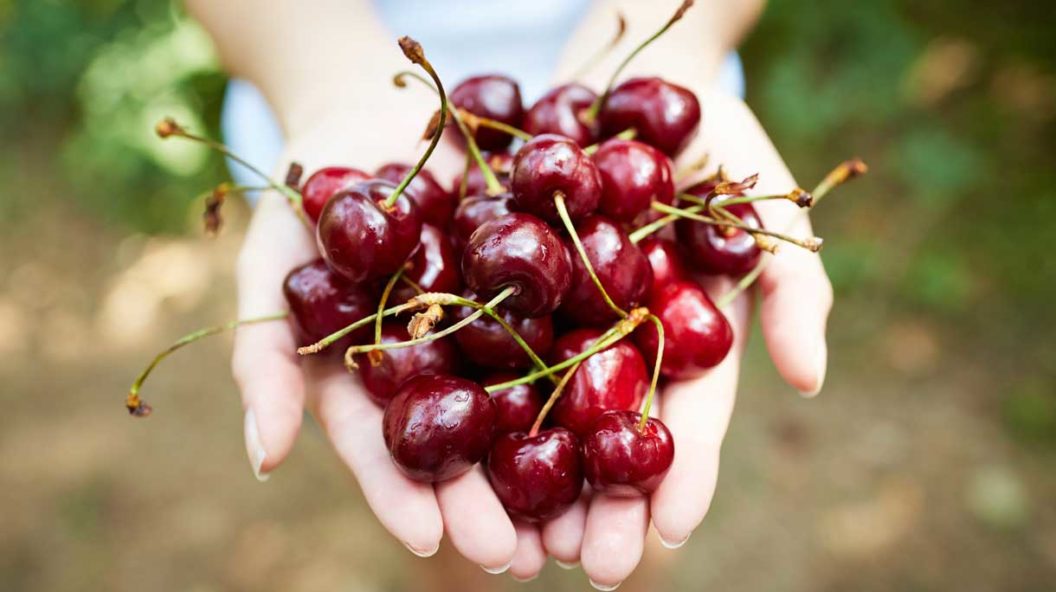 istock-532056466-1056×592-1