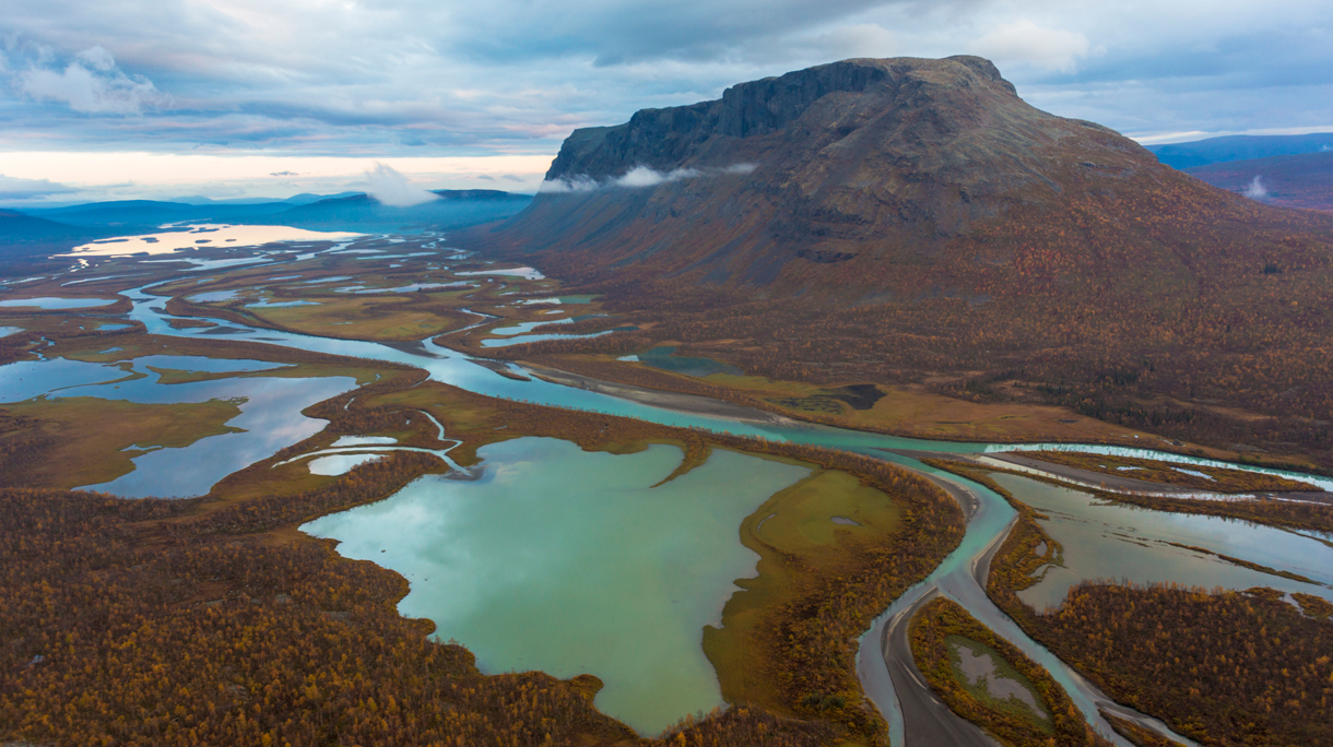 sarek-hoofdbeeld