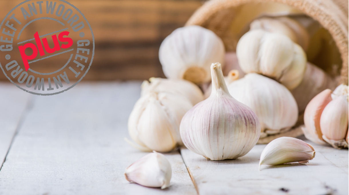 garlic-cloves-plus