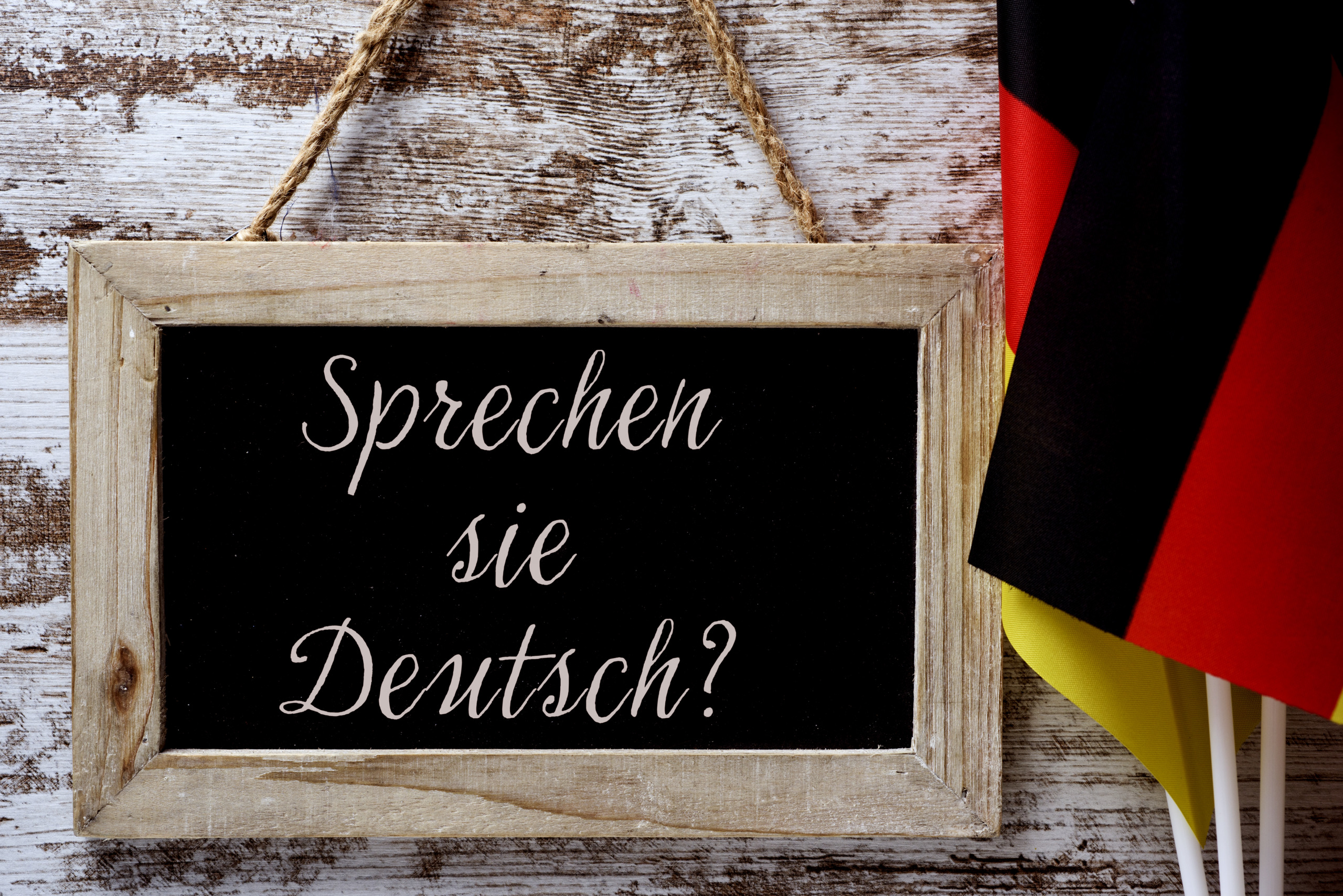 question do you speak German? in German