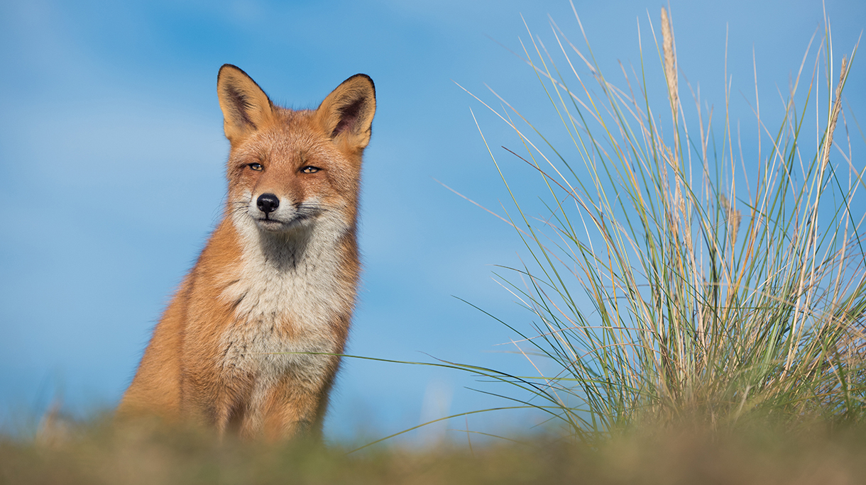 awd_giesbers-51.jpg