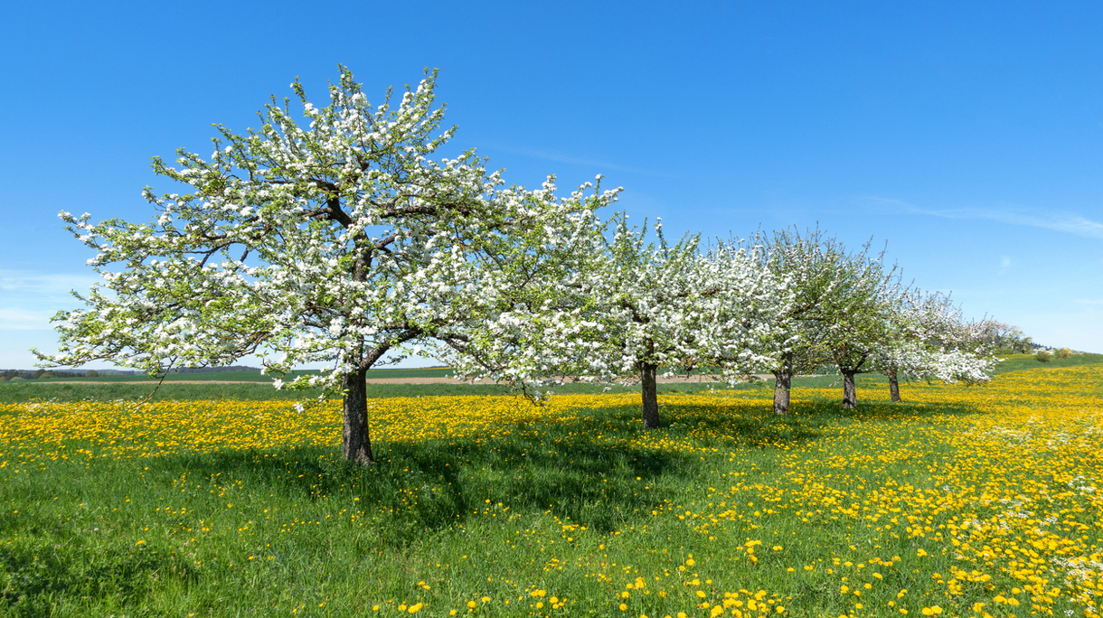 istock-1127763883