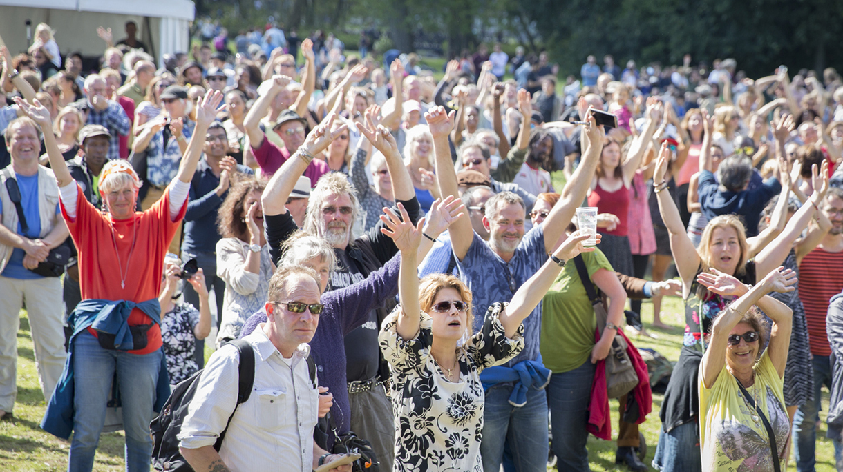 audience cheering Amsterdam Roots Open Air festival