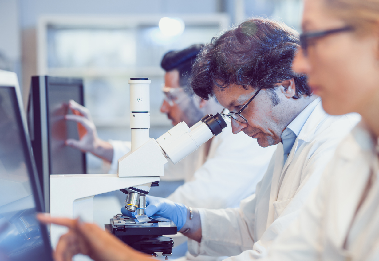Scientists Working in the Laboratory