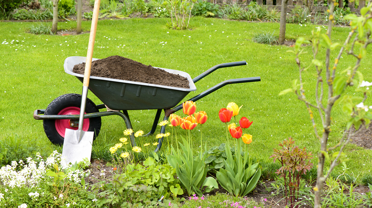 Compost