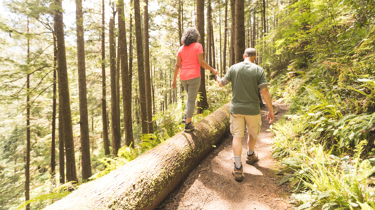 Senior Couple on a Day Hike in Forest
