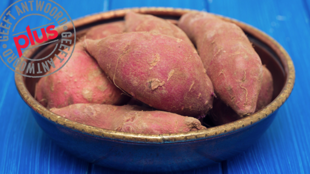 plus-sweet-potato