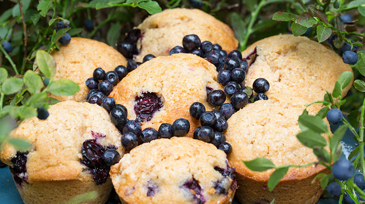 bosbessen-muffins