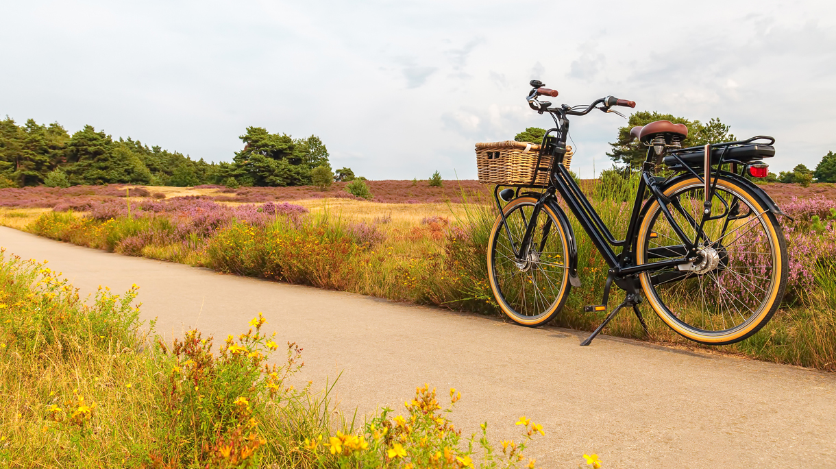 e-bike-leasen-pol