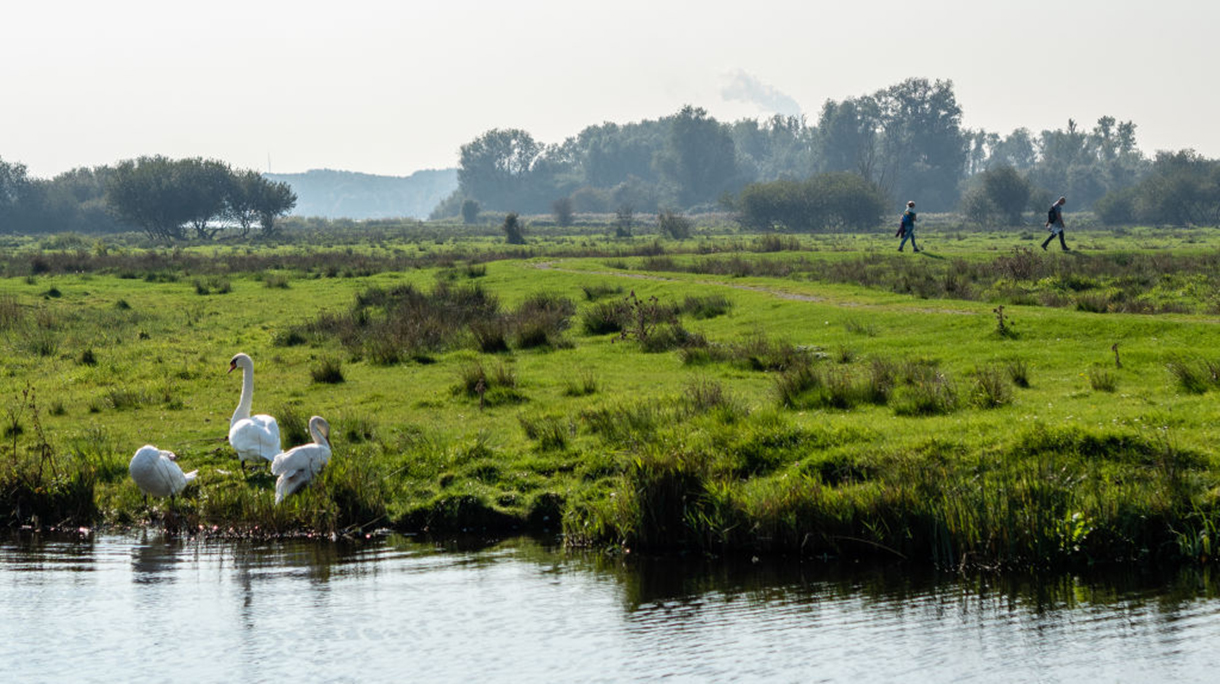 Warm Weekend In The Netherlands