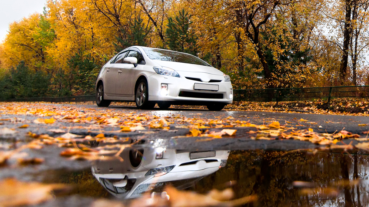 Toyota Prius on autumn road in rainy day