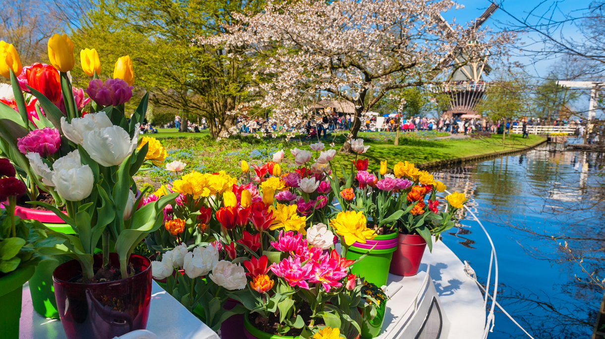 keukenhof