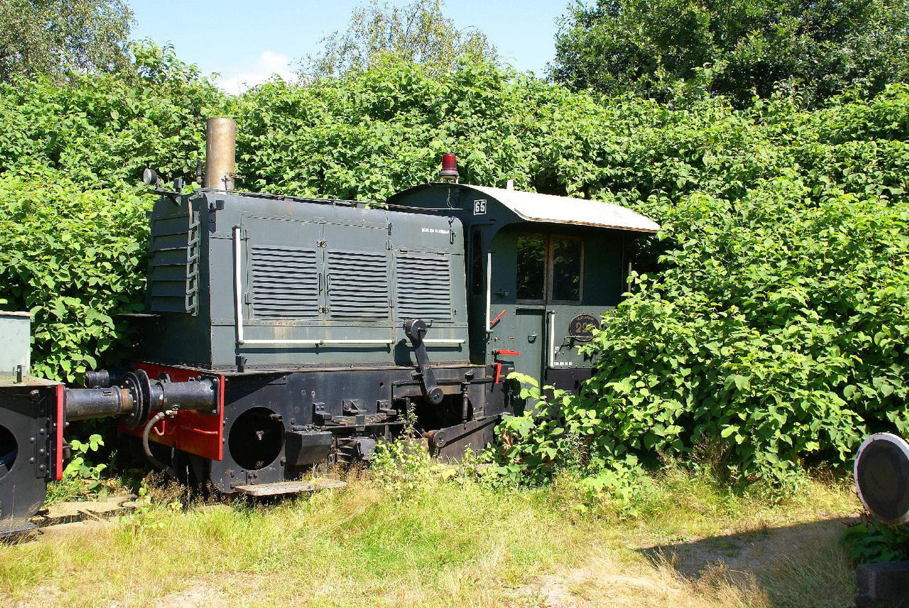 1280px-fallopia_overgrows_train