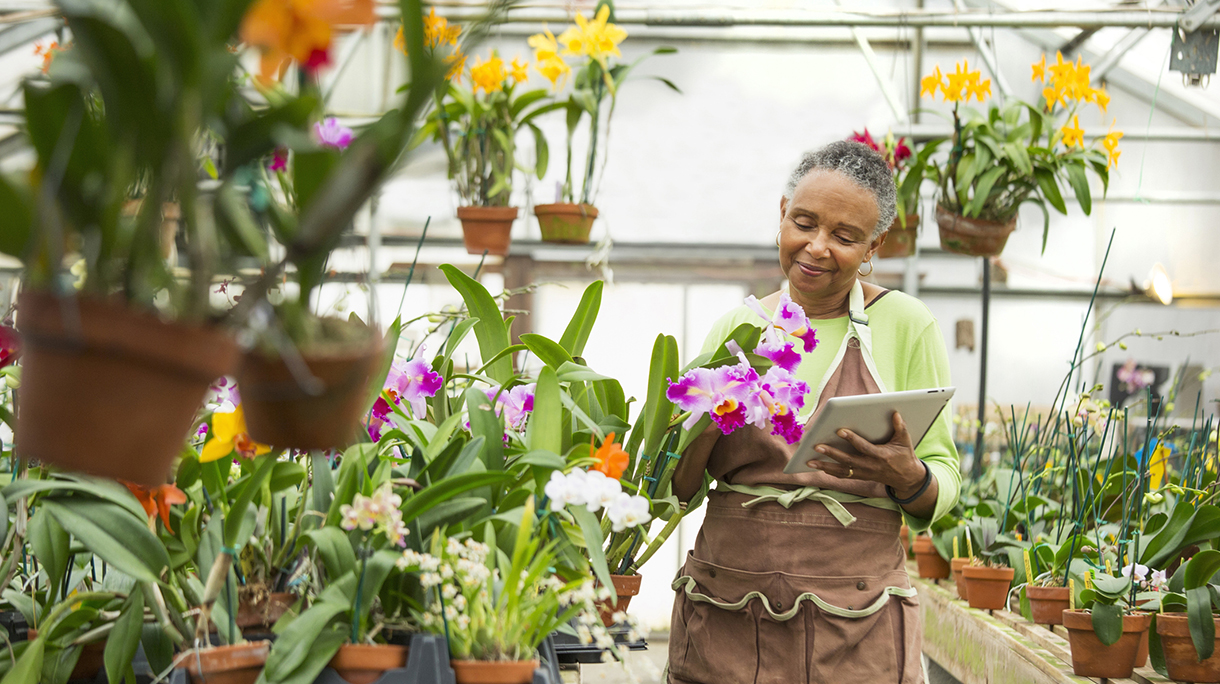 Black gardener using digital tablet in greenhouse