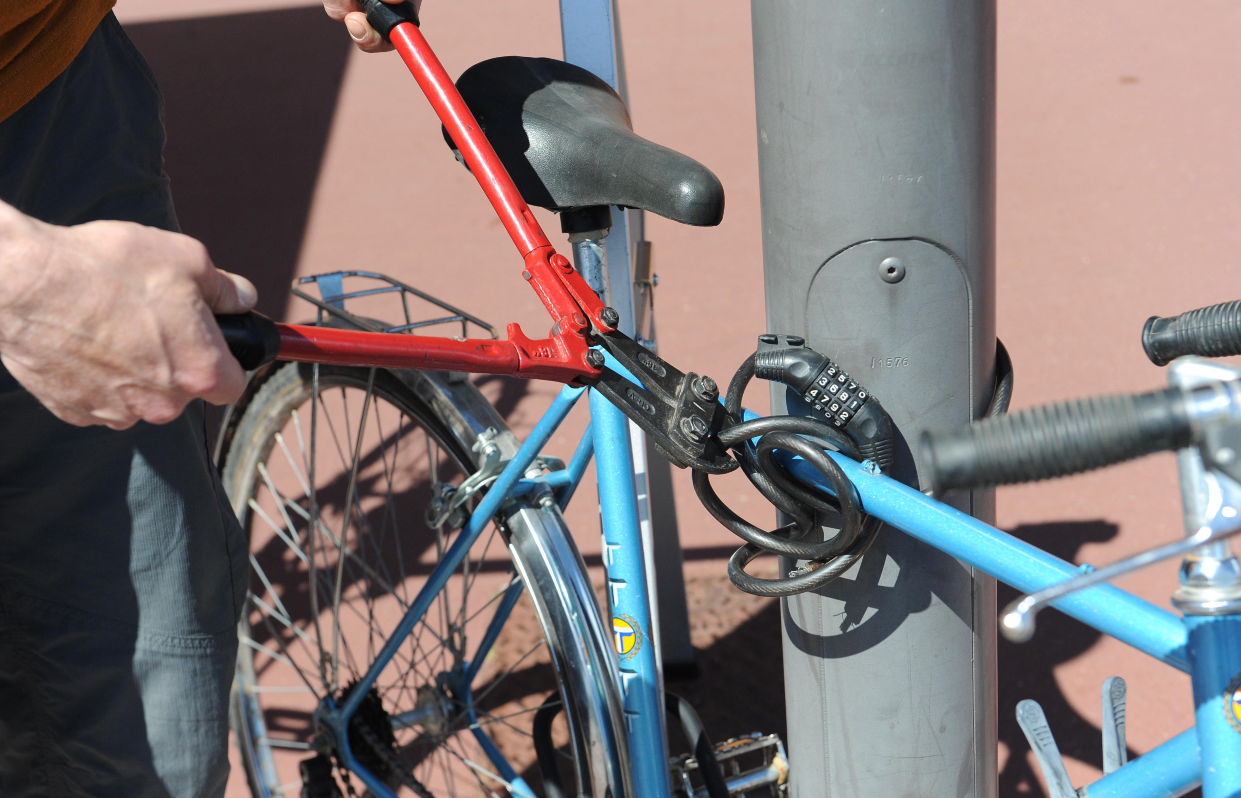 Bicycle theft.