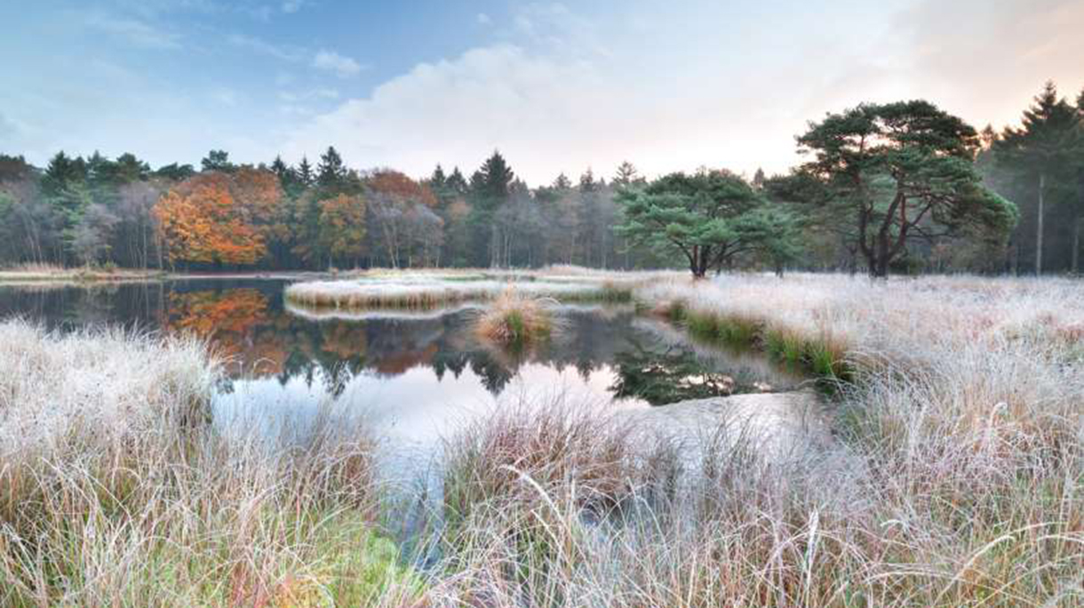 routegids-dr-natuur-op-voormalige-vloeivelden