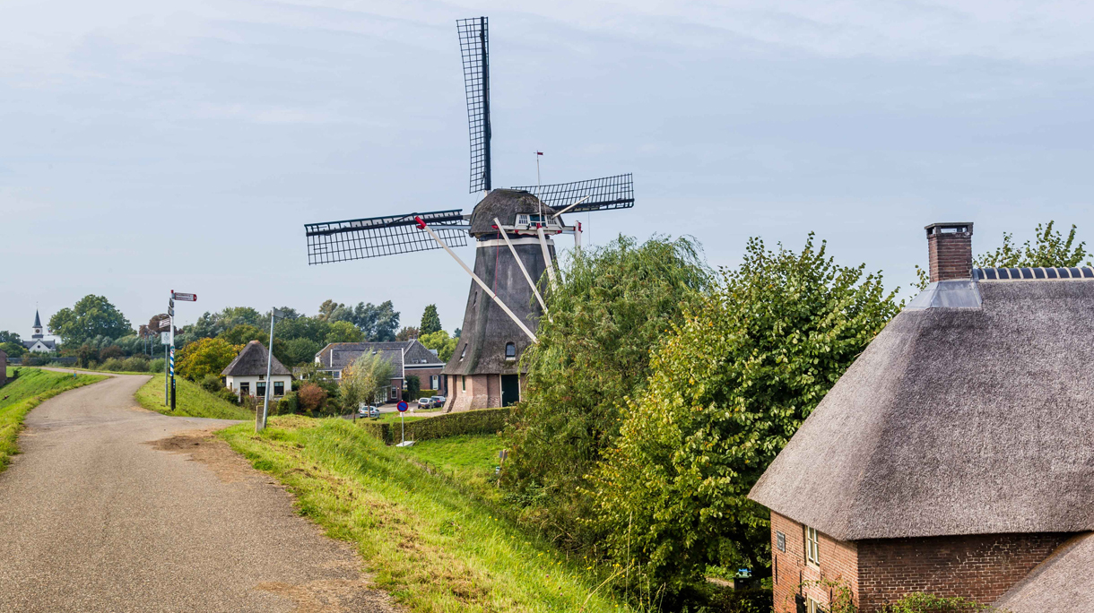 waardenburg