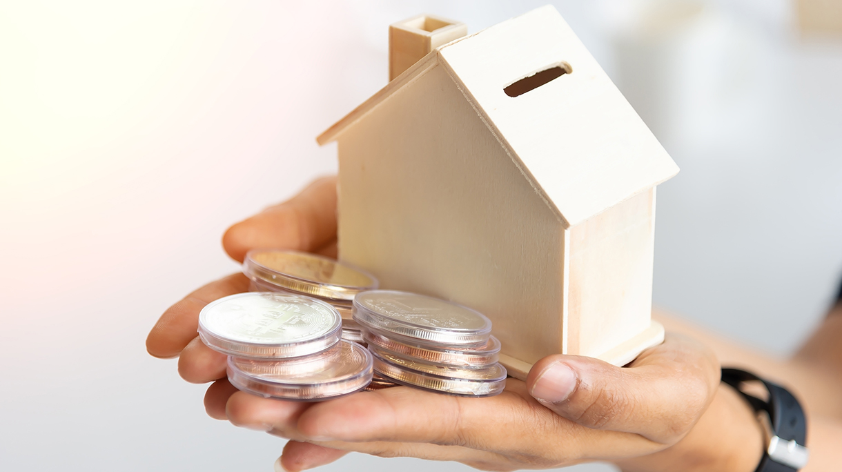 house model and growing plant on row of coin money for finance , banking , money , saving concept