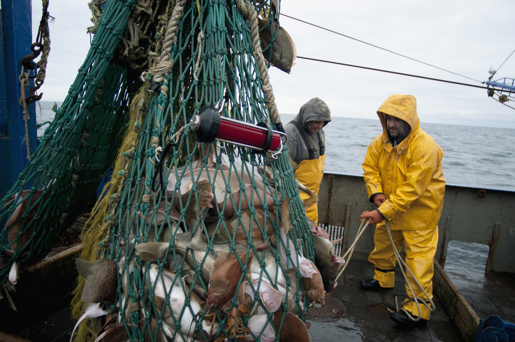 Fishing dragger hauls in net full of fish