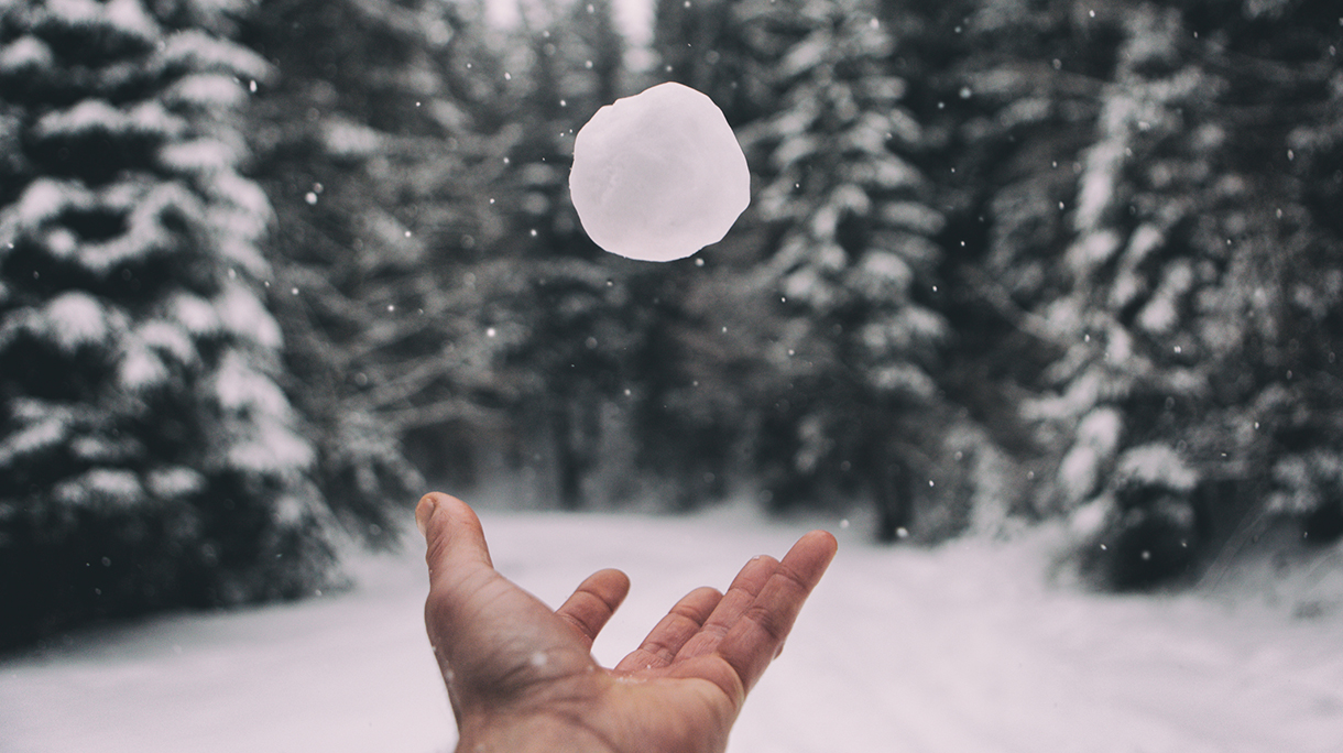 Human Hand Throwing Snowball Against Trees