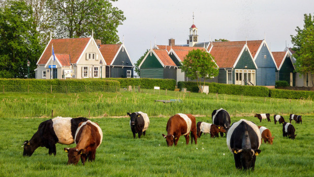 hoofdbeeld_13