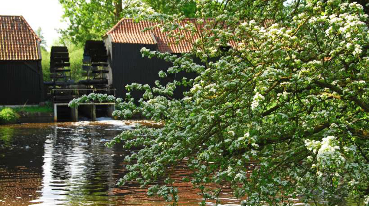 routegids-nb-watermolens-langs-de-dommel