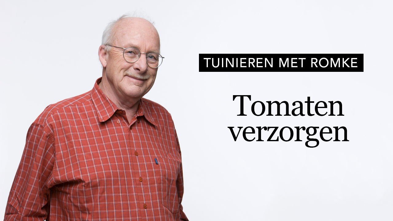 thumbnail_tomaten_verzorgen