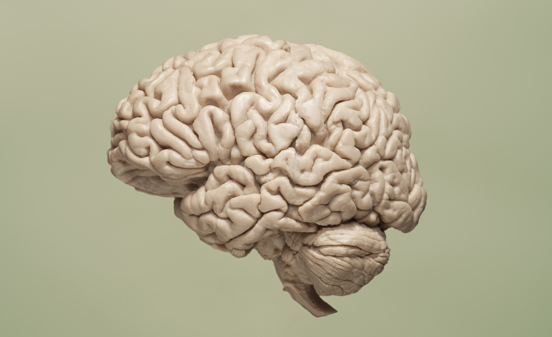Floating brain on green background