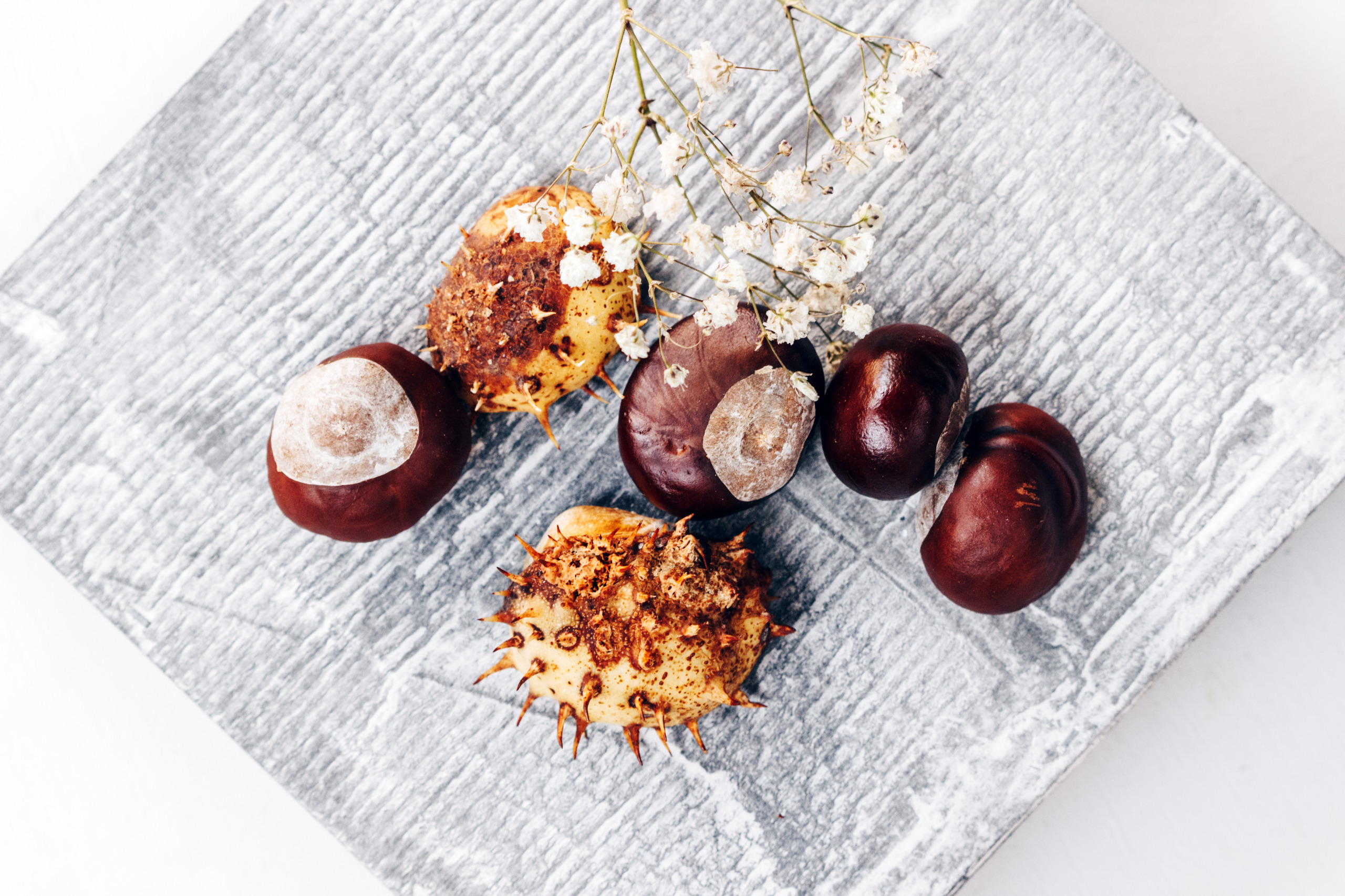 Autumn still life