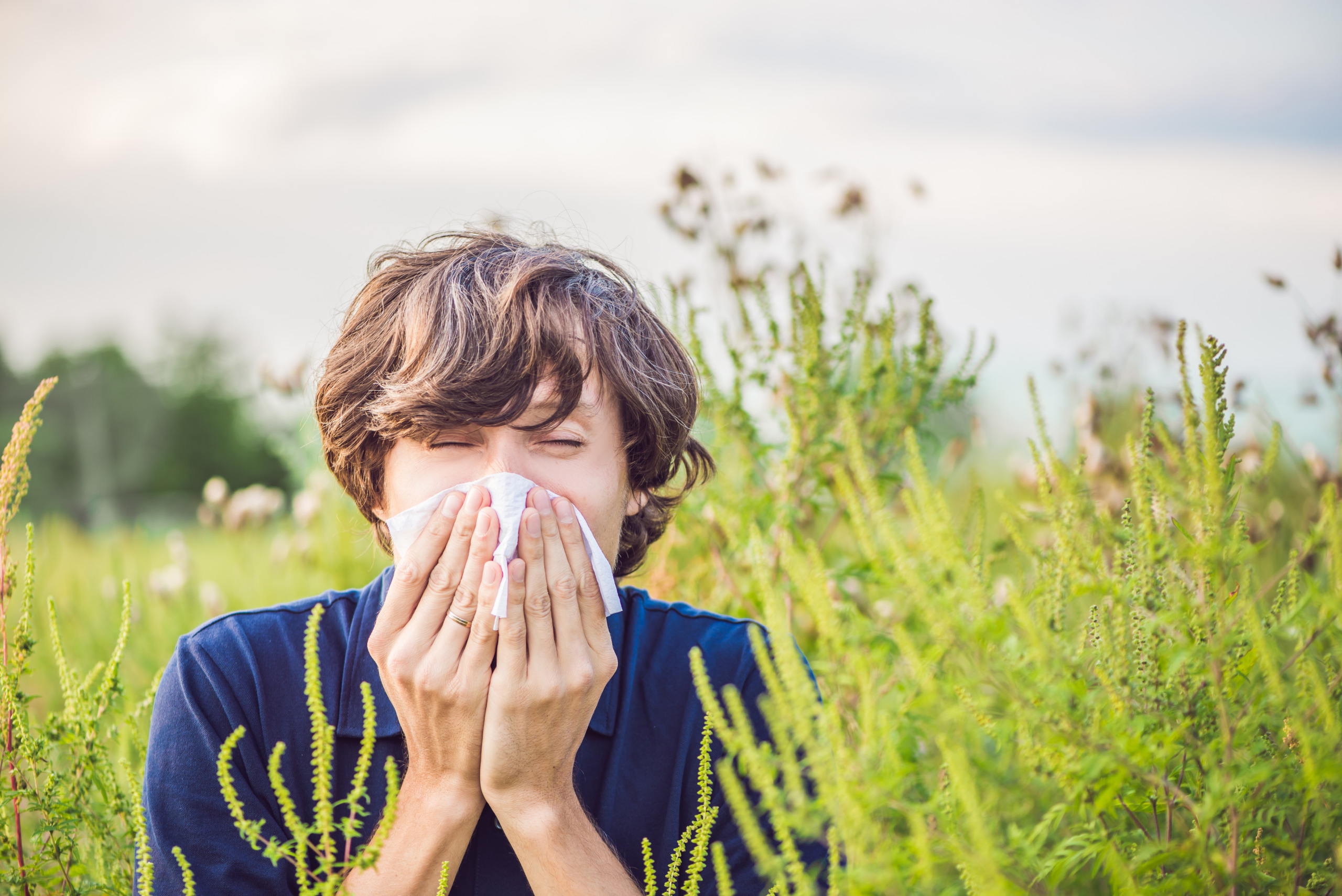 Young man sneezes because of an allergy to ragweed
