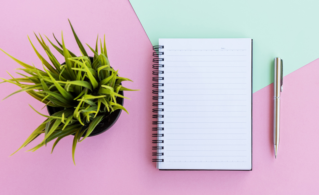 Note Pad, Pen and Potted Plant on Multi Colored Background