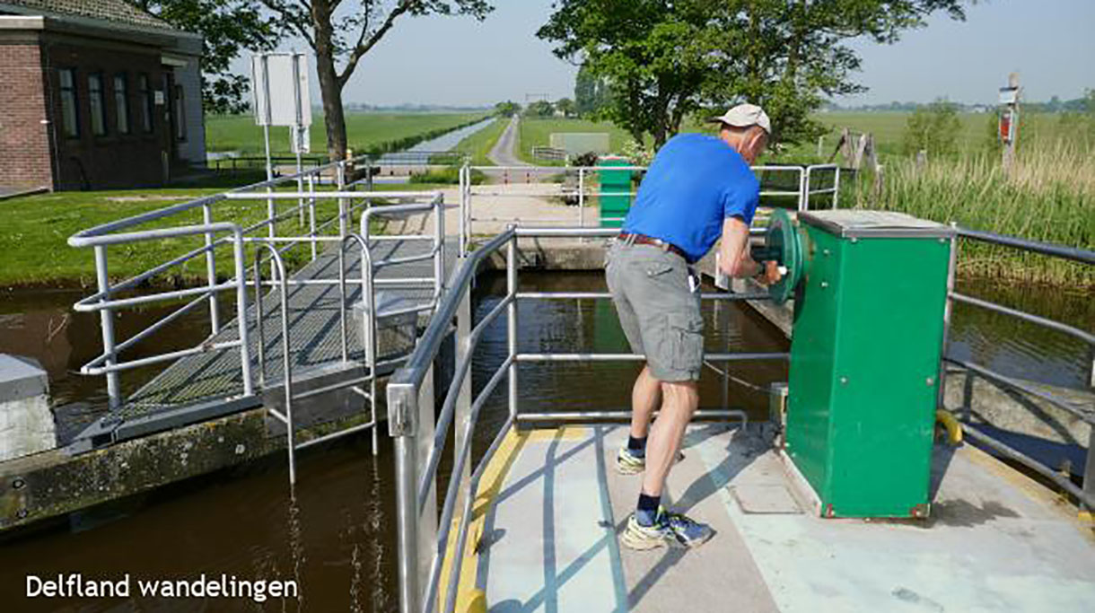 maasland_hoofdbeeld