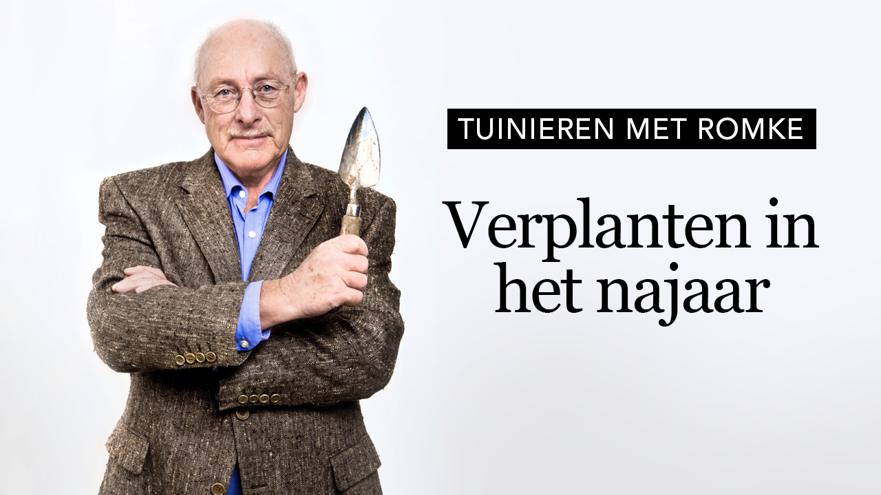 verplanten_in_het_najaar_thumbnail